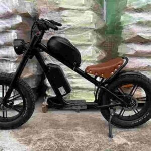Off Road Fat Tire Electric Bike dealer factory manufacturer wholesale