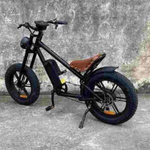 The Best Folding Electric Bike dealer factory manufacturer wholesale