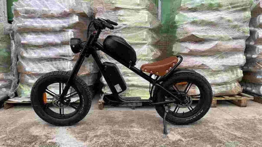 Thick Tire Electric Bike dealer factory manufacturer wholesale