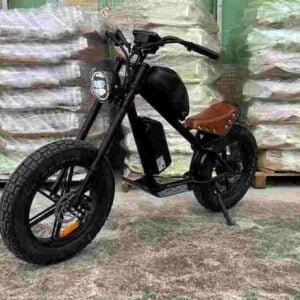 top e bikes dealer factory manufacturer wholesale