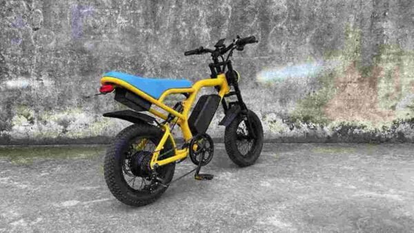Top Fat Tire Ebikes dealer factory manufacturer wholesale