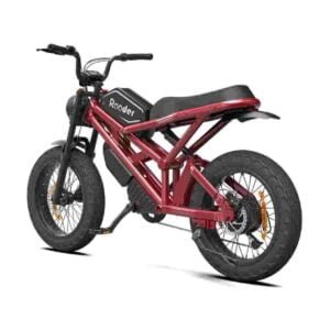 two wheeler electric bike dealer factory manufacturer wholesale