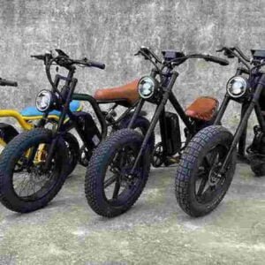 Usa Electric Bike dealer factory manufacturer wholesale