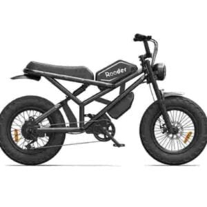 Wide Tire Electric Bike dealer factory manufacturer wholesale
