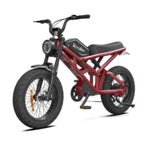 Womens Folding Electric Bike dealer factory manufacturer wholesale
