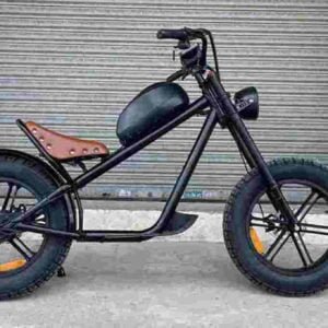 amazon electric bikes dealer factory manufacturer wholesale