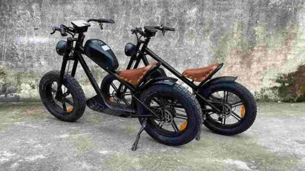 best 750 watt electric bike dealer factory manufacturer wholesale