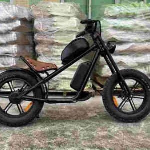 best electric bikes 2024 dealer factory manufacturer wholesale