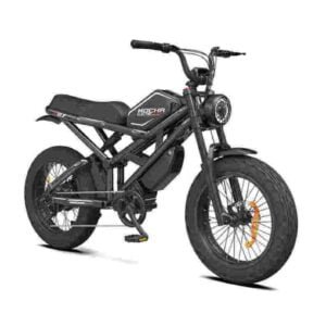 big tire electric bike dealer factory manufacturer wholesale