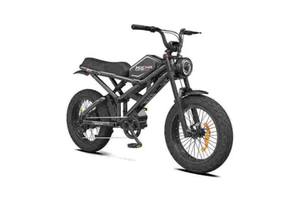 cool e bikes dealer factory manufacturer wholesale