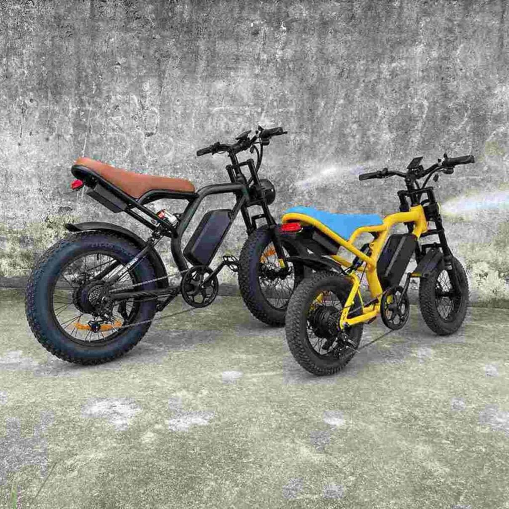 electric bikes for seniors dealer factory manufacturer wholesale