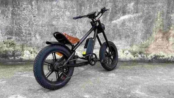 electric cycle for ladies dealer factory manufacturer wholesale