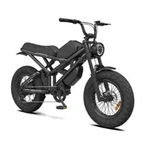 electric cycle store near me dealer factory manufacturer wholesale