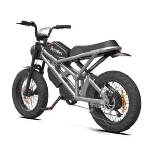 old electric bike dealer factory manufacturer wholesale
