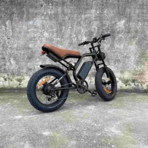 the electric bike company dealer factory manufacturer wholesale