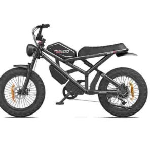 two person electric bike dealer factory manufacturer wholesale