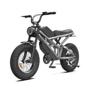 wuxing electric bike dealer factory manufacturer wholesale